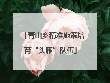 青山乡精准施策培育“头雁”队伍