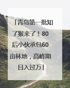 青岛第一批知了猴来了！80后小伙承包60亩林地，高峰期日入过万