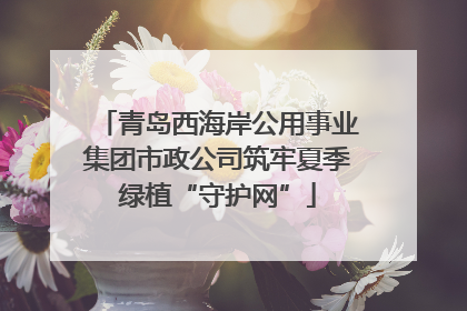 青岛西海岸公用事业集团市政公司筑牢夏季绿植“守护网”