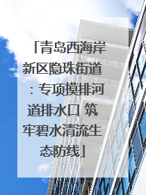 青岛西海岸新区隐珠街道：专项摸排河道排水口 筑牢碧水清流生态防线