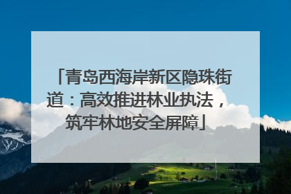 青岛西海岸新区隐珠街道：高效推进林业执法，筑牢林地安全屏障