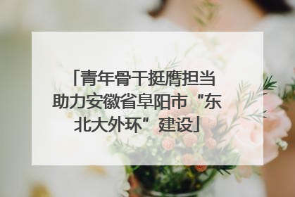 青年骨干挺膺担当 助力安徽省阜阳市“东北大外环”建设