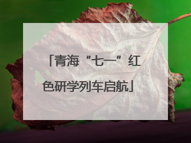 青海“七一”红色研学列车启航