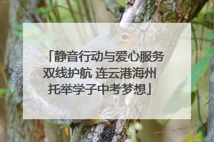 静音行动与爱心服务双线护航 连云港海州托举学子中考梦想