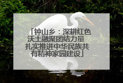 钟山乡：深耕红色沃土融聚团结力量 扎实推进中华民族共有精神家园建设