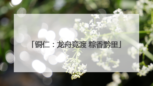 铜仁：龙舟竞渡 粽香黔里