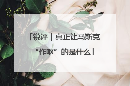 锐评｜真正让马斯克“作呕”的是什么