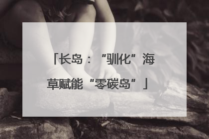 长岛：“驯化”海草赋能“零碳岛”