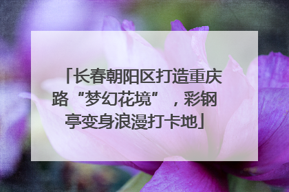 长春朝阳区打造重庆路“梦幻花境”，彩钢亭变身浪漫打卡地