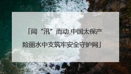 闻“汛”而动 中国太保产险丽水中支筑牢安全守护网