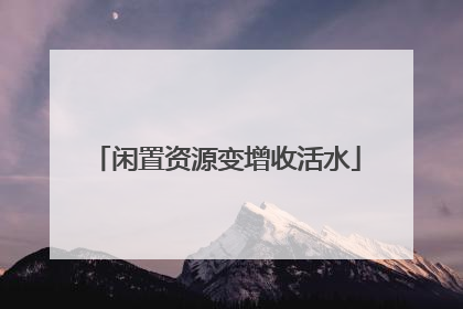 闲置资源变增收活水