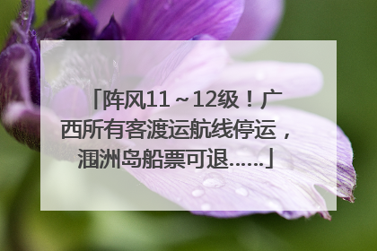 阵风11～12级！广西所有客渡运航线停运，涠洲岛船票可退……