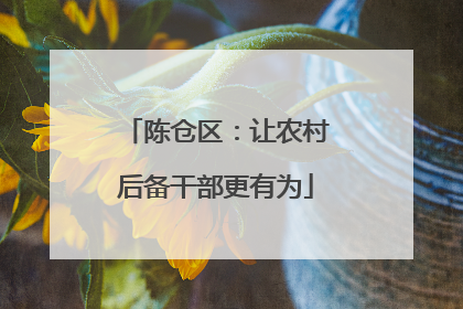 陈仓区：让农村后备干部更有为
