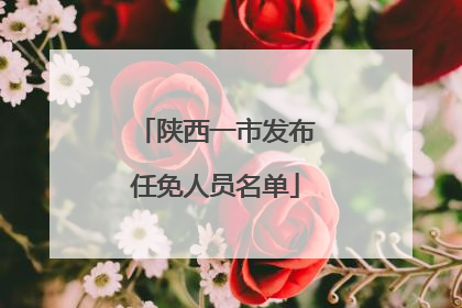 陕西一市发布任免人员名单