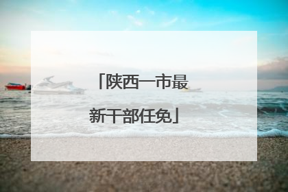 陕西一市最新干部任免