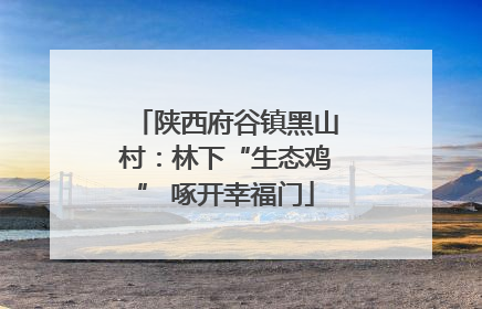 陕西府谷镇黑山村：林下“生态鸡” 啄开幸福门