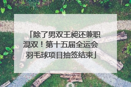 除了男双王昶还兼职混双！第十五届全运会羽毛球项目抽签结束