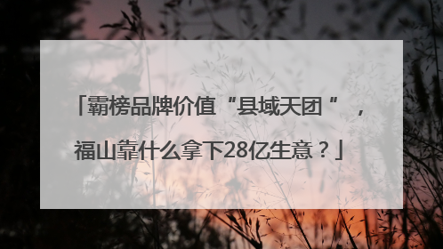 霸榜品牌价值“县域天团 ”，福山靠什么拿下28亿生意？