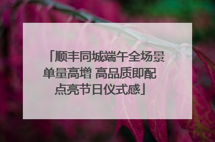 顺丰同城端午全场景单量高增 高品质即配点亮节日仪式感