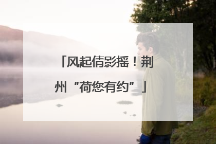 风起倩影摇！荆州“荷您有约”