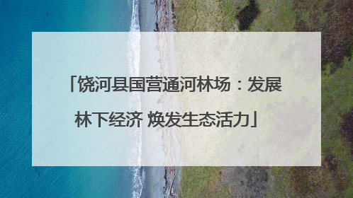饶河县国营通河林场：发展林下经济 焕发生态活力