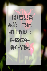 驻曹县省派第一书记和工作队：粽情端午·暖心帮扶
