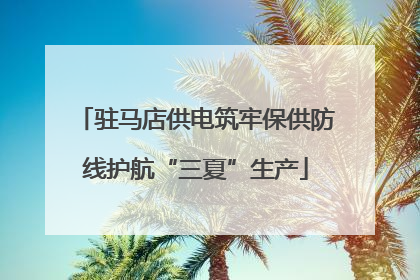 驻马店供电筑牢保供防线护航“三夏”生产
