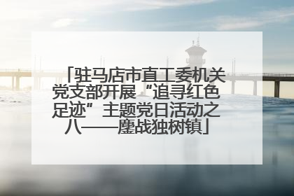 驻马店市直工委机关党支部开展“追寻红色足迹”主题党日活动之八——鏖战独树镇