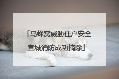 马蜂窝威胁住户安全 宣城消防成功摘除