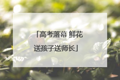 高考落幕 鲜花送孩子送师长
