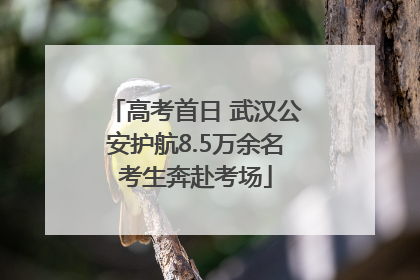 高考首日 武汉公安护航8.5万余名考生奔赴考场