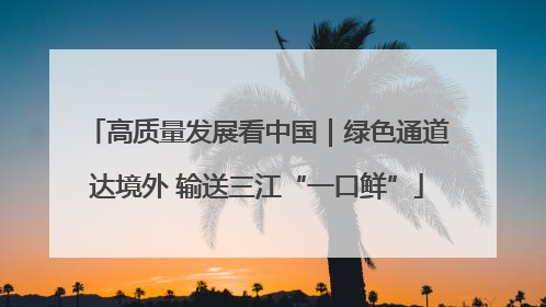 高质量发展看中国｜绿色通道达境外 输送三江“一口鲜”
