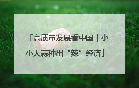 高质量发展看中国｜小小大蒜种出“辣”经济