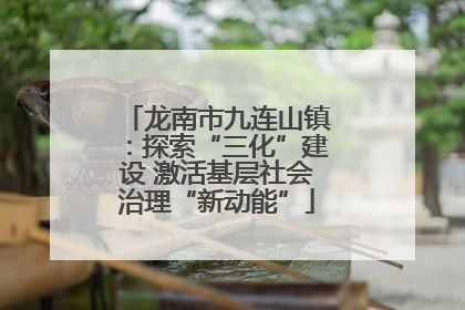 龙南市九连山镇：探索“三化”建设 激活基层社会治理“新动能”