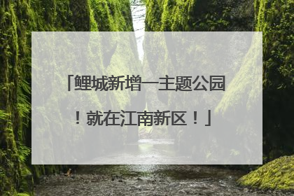 鲤城新增一主题公园！就在江南新区！