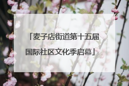 麦子店街道第十五届国际社区文化季启幕
