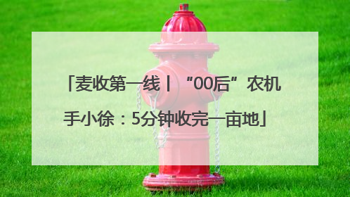 麦收第一线丨“00后”农机手小徐：5分钟收完一亩地