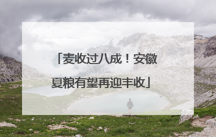 麦收过八成！安徽夏粮有望再迎丰收
