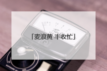 麦浪黄 丰收忙