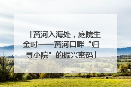 黄河入海处，庭院生金时——黄河口畔“归寻小院”的振兴密码