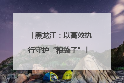 黑龙江：以高效执行守护“粮袋子”