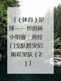 （体育）足球——世俱杯小组赛：弗拉门戈队胜突尼斯希望队（2）