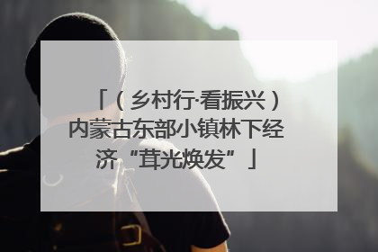 （乡村行·看振兴）内蒙古东部小镇林下经济“茸光焕发”