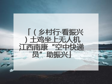 （乡村行·看振兴）土鸡坐上无人机 江西南康“空中快递员”助振兴