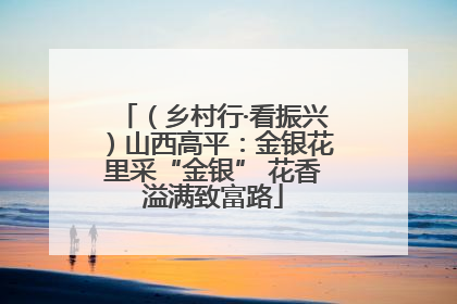 （乡村行·看振兴）山西高平：金银花里采“金银” 花香溢满致富路