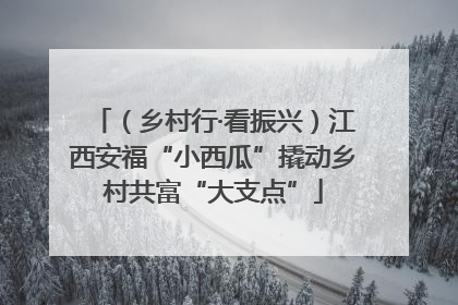 （乡村行·看振兴）江西安福“小西瓜”撬动乡村共富“大支点”