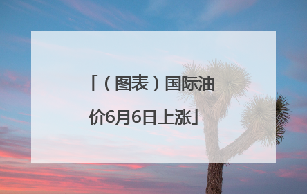 （图表）国际油价6月6日上涨