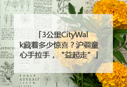 3公里CityWalk藏着多少惊喜？沪疆童心手拉手，“益起走”
