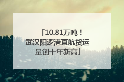 10.81万吨！武汉阳逻港直航货运量创十年新高
