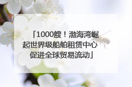 1000艘！渤海湾崛起世界级船舶租赁中心 促进全球贸易流动